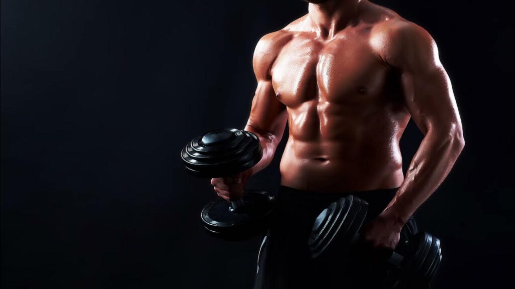 провирон тренировка